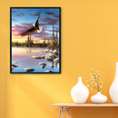 Painting By Numbers Kit DIY Animal Eagle Canvas Oil Art Picture Home Decor