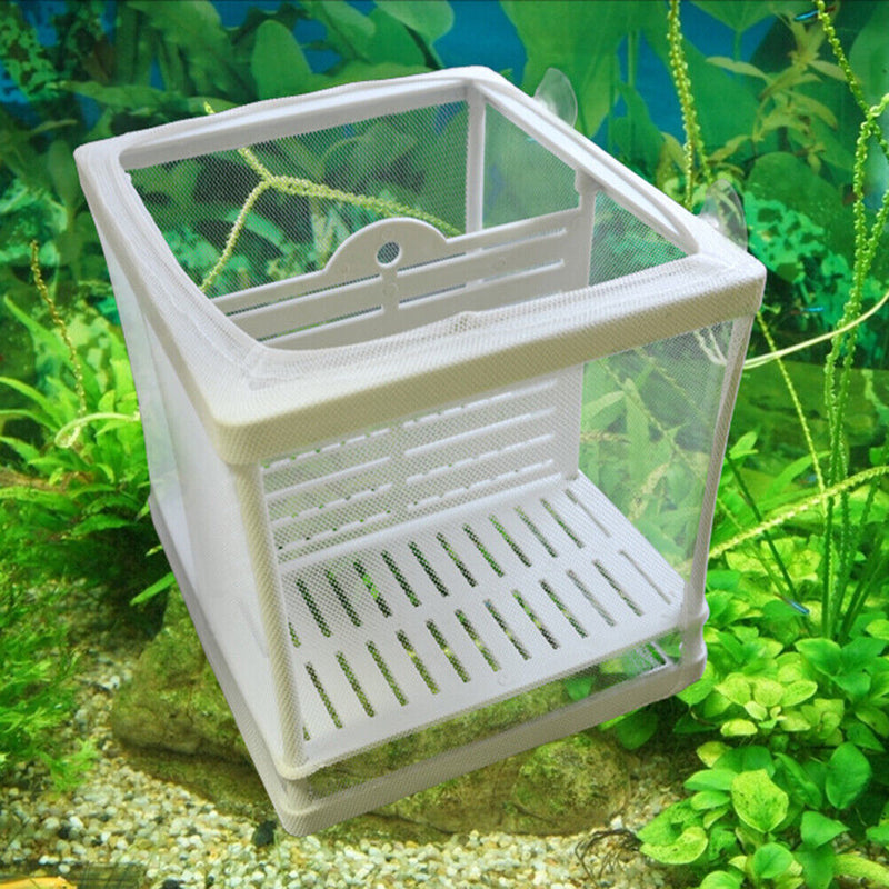 Aquarium Guppy Breeding Gauze Trap Box Tank Fish Baby Insulator Incubator Breeder