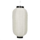 Chinse Ancient Chinese Women Spray Painting Cloth Lantern Pendant Indoor Deco