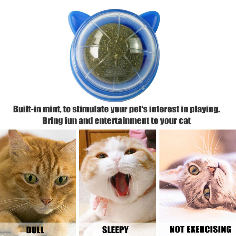 Catnip Ball Cat Toys Licking Teeth Chewing Pet Training Bite Balls (Blue)