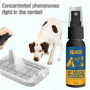 Dog Potty Training Aid Puppy Pet Toilet Training Spray Toilet 30ml 22 E1C6
