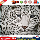 5D DIY Full Drill Square Diamond Painting Leopard Cross Stitch Mosaic Kit Newly