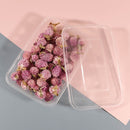Dried Flower Material - Real Pressed Dry Flowers & Leaves Set for Nail Art Make