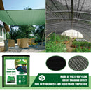 Sun Shade Sail - Canopy Awning Screen Plant Greenhouse Cover (Green 2x4m) Newly