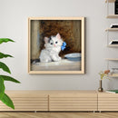 Hand Painted on Canvas DIY Cute White Cat Oil Paint By Numbers Drawing Kit Craft