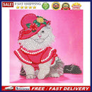 Cat Bird Animal Special Shaped Partial Drill Mosaic Art Rhinestone Picture De