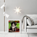 5D DIY Full Drill Diamond Painting Lovely Cat Cross Stitch Needlework Set Decor