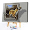 #A Tiger Oil Paint By Numbers Kit DIY Acrylic Painting on Canvas Drawing Pictu