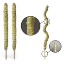 Moss Pole For Indoor Plants - For Indoor Climbing Plants T3F6