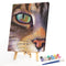 DIY Oil Paint by Numbers Cat Animal Hand Painted Acrylic Painting Home Decor