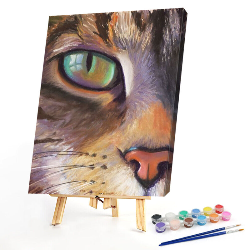 DIY Oil Paint by Numbers Cat Animal Hand Painted Acrylic Painting Home Decor