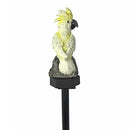 Solar Power LED Parrot Lawn Light Waterproof Garden Landscape Lamp (Yellow)