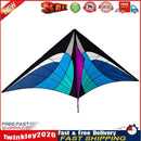 Spider Delta Kites Tails with Handle Kids Outdoor Educational Gift (Blue) Newly