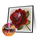 5D DIY Diamond Painting Full Round Drill A Rose Rhinestone Art Crafts Home De