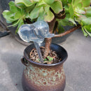 Drip Irrigation System Auto Watering Spike Plants Flower Waterer Bottle (E)