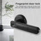 Fingerprint Door Lock Handle Smart Biometric Entry with 2 Keys (Black) Newly