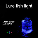 Mini LED Fishing Lure Light Water Triggered Underwater Bait Lamp (Blue) Newly