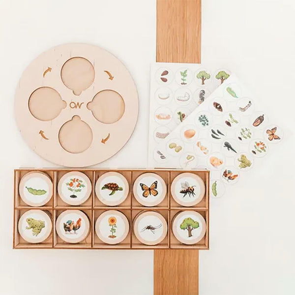 Wooden Life Cycle Board Puzzle Teaching Aids Material Biology Zoology