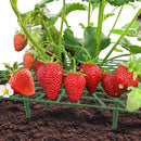 Strawberry Stand Balcony Vegetables Fruit Climbing Pillar Gardening Bracket