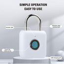 Smart Fingerprint Padlock Keyless Anti Theft Security Garden Shed Door Pad Lock`