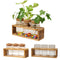 Wooden Frame Glass Vase Flower Arrangement Plant Flower Pot Hydroponic Vase