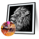 Diamond Painting Kit Animal Square Diamond Mosaic Picture Art