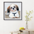 5D DIY Diamond Painting Cute Puppy Full Drill Rhinestone Mosaic Art Picture