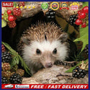 Animal Hedgehog 5D Diamond Painting Embroidery Full Round Drill Cross Stitc