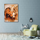 Painting By Numbers Kit DIY Loving Horses Canvas Oil Wall Art Picture Ornam