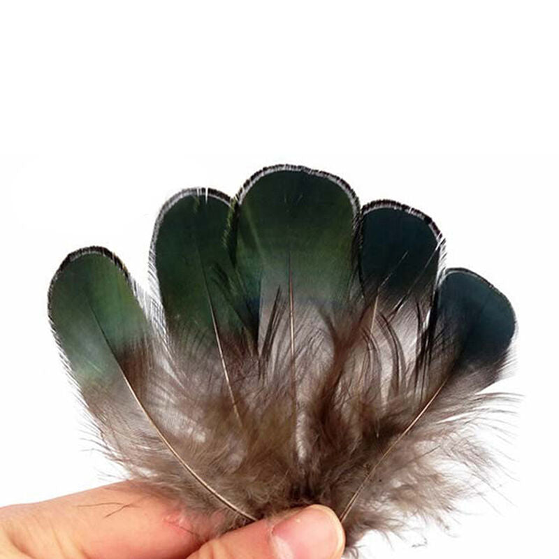 Amherst Golden Pheasant Feathers Lady Amherst Pheasant Feather Artificial Sale