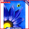 Flower Oil Paint By Numbers DIY Handpainted on Canvas Wall Art Picture Crafts