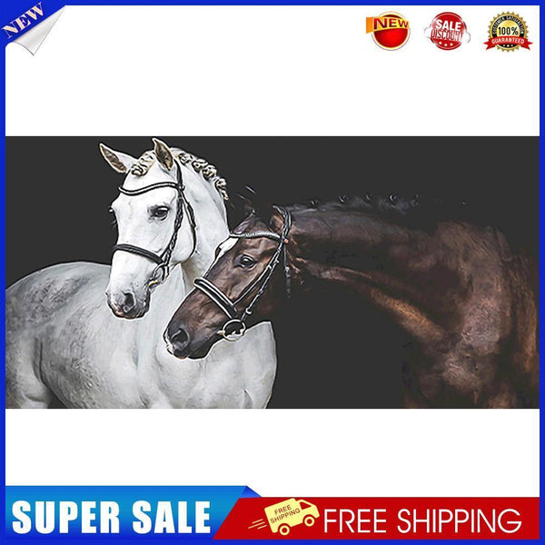 Two Horses Oil Paint By Numbers Kits DIY Handpainted on Canvas Wall Picture