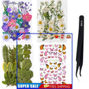 Real Pressed Dry Flowers Butterfly Stickers Tweezers & Leaves Kit Crafts