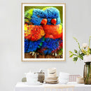 Full Round Diamond Painting DIY Kit 2 Rainbow Parrots Rhinestone Mosaic Picture