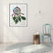 Diamond Painting 5D DIY Dream Catcher Partial Special Drill Kit (PH111)