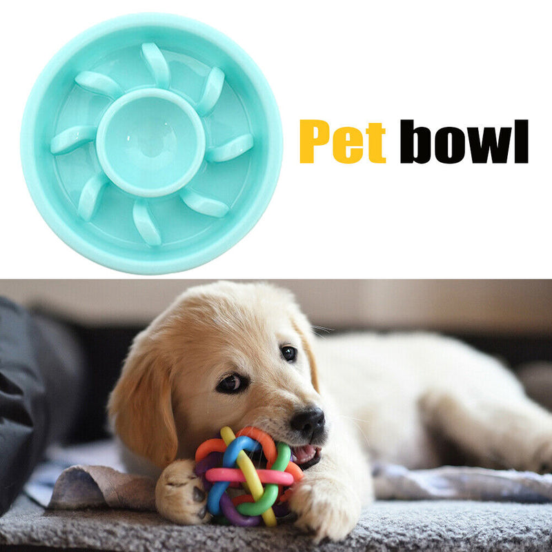 Dog Feeding Bowls Puppy Slow Down Eating Feeder Anti Choking Dish (Green) Newly