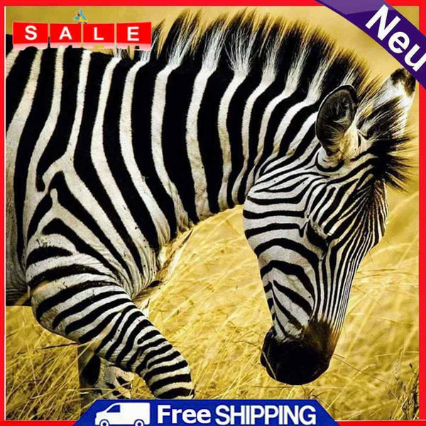 5D DIY Full Drill Diamond Painting Walking Zebra Embroidery Craft Needlework Set