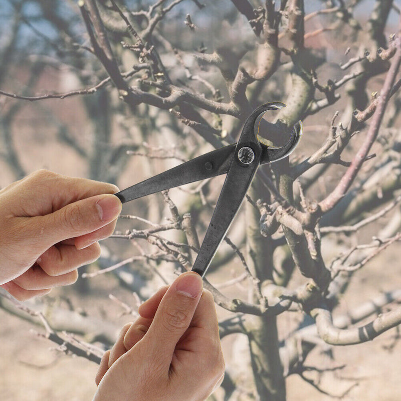 210mm Gardening Plant Branch Styling Maintenance Tools Round Nose Pruning P