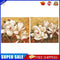 White Flower Oil Paint By Numbers Kits Canvas Picture Wall Art DIY Craft