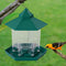 Hanging Wild Bird Feeders for Outdoors Gazebo Yard Garden Decor Pet Feeding T