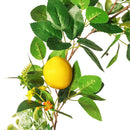 Day Faux Eucalyptus Rose Leaf Eucalyptus Leaves Plants Faux Lemon Fruit Vine