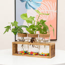 Ornament Glass Vase Plant Flower Pot Hydroponic Vase Flower Arrangement