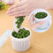 Double Layer Vegetables Sealed Keeper Fresh Storage Box Vegetable Storage Box