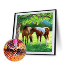 5D DIY Diamond Painting Kits Full Round Drill Animal Mosaic Picture Wall Decor