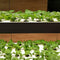 20x Soilless Hydroponic Sponge Planting Gardening Tools Seedling Sponge I0C9