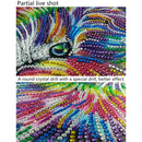 5D DIY Special Shaped Diamond Paint Multi Cat Cross Stitch Embroidery Kit Newly