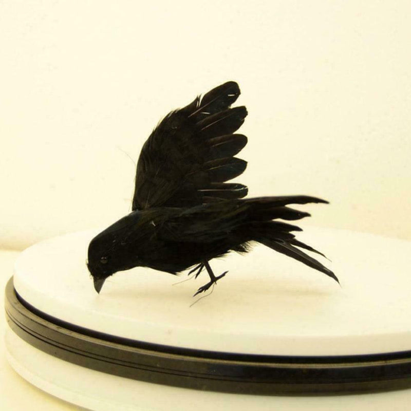 2Pcs Simulation Crow Black Crow Props Feather Birds Home Horror Decor J2Z2