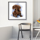 #A Waterside Cat Oil Paint By Numbers DIY Handpainted on Canvas Picture Unfram