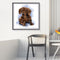 #A Waterside Cat Oil Paint By Numbers DIY Handpainted on Canvas Picture Unfram