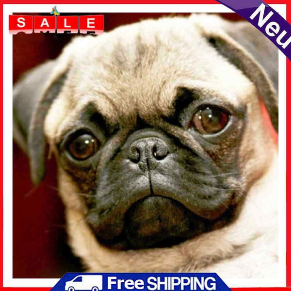 Canvas Painted Oil Paint By Numbers Dog Animal DIY Wall Art Modern Bedroom Decor